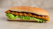 Kabab Special